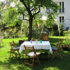 Tips for Preparing Your Garden for a Summer Party