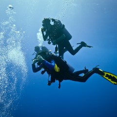 5 Pieces of Advice for Wannabe Professional Divers