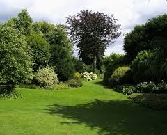 3 Easy Steps to Prepare and Protect Your Garden While You’re Having Building Work Carried Out on Your Home