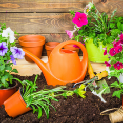 7 Ways to Create More Space for Your Small Garden