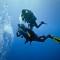 5 Pieces of Advice for Wannabe Professional Divers