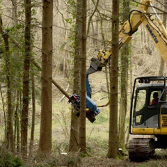 Best Firewood for your Open Fire or Woodburning Stove