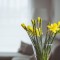 Tips to give your property a spring refresh