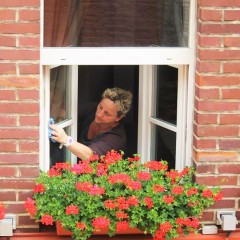 The Best Window Cleaner Products