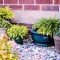 7 Quick and Simple Tips to Improve Your Garden