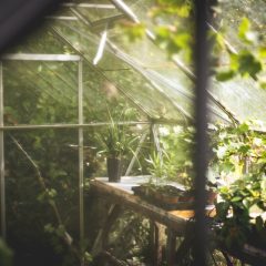 Keep Your Greenhouse Frost Free