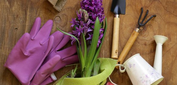 How to prepare your garden for spring
